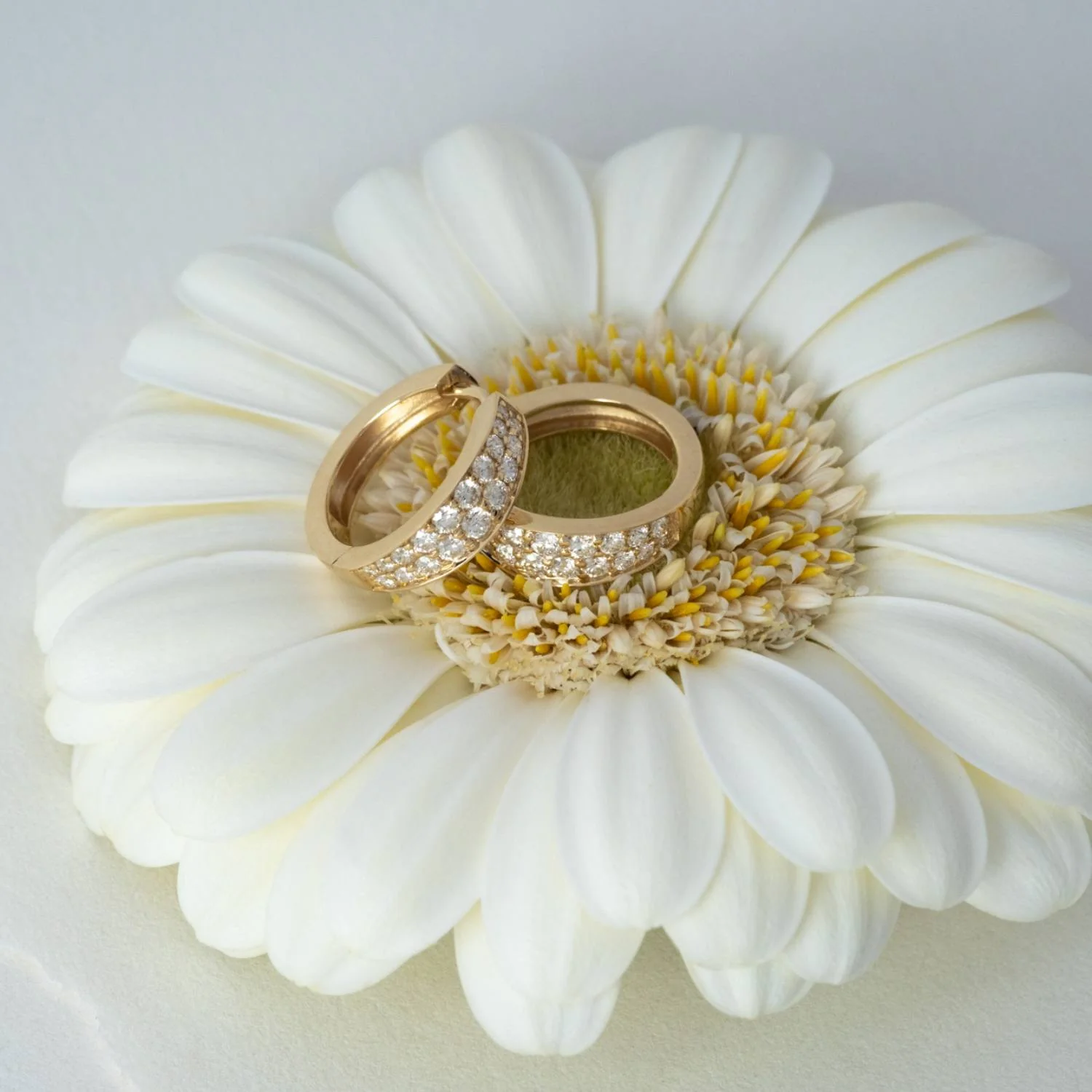 Aveny LUXURY - Creoler, 0,68 ct. w/si pavé - 14 kt. guld - Image 3