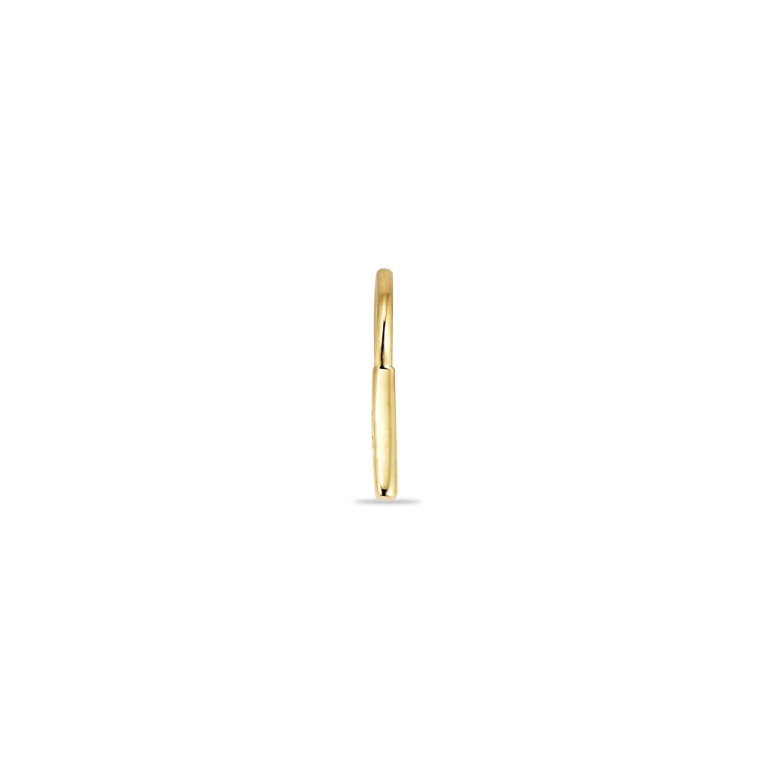 Miniaturebillede 1