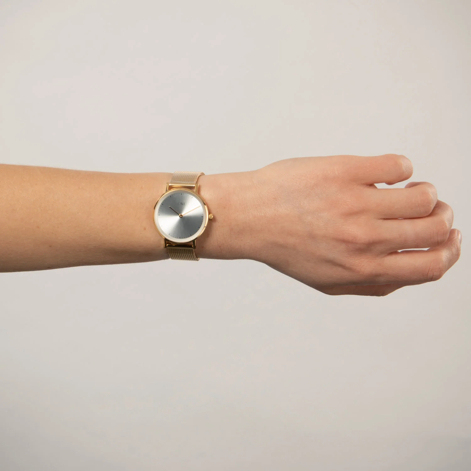 CAVI Watches - Mensa Silver Sunray ur, 34 mm - Guld IPG rustfrit stål - Image 2