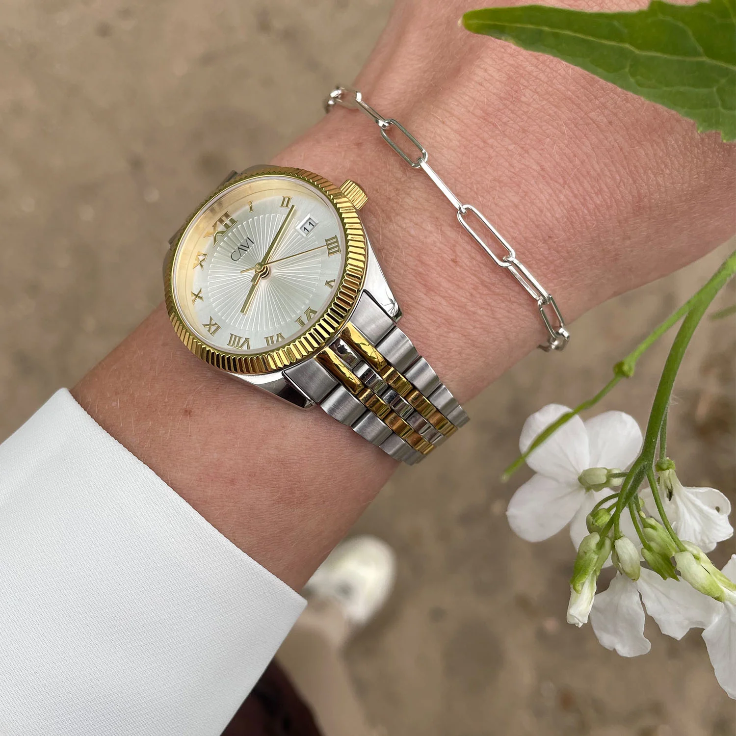 CAVI Watches - Vela Silver Sunray ur, 32,5 mm - Bicolor rustfrit stål - Image 4